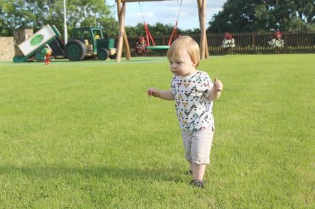 Stranded At The Strawberry Fields