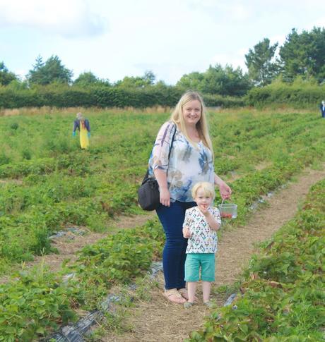 Stranded At The Strawberry Fields