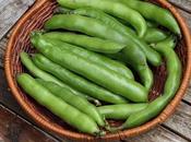 Harvest Monday July 2016