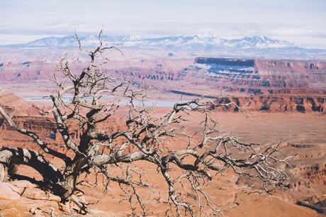 Exploring Dead Horse Point Pt. 4