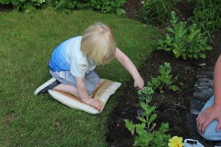 Must Have Items For Keeping Your Garden Great This Summer