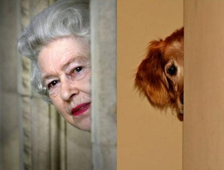 Dog and Queen Hiding Around The Corner