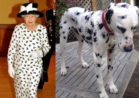 Dog and Queen Wearing Spots