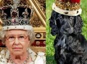 Royal Dogs Look Like Queen