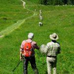 Dowsing at the stone rows