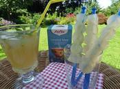 Refreshing Iced Lolly Sugarfree Recipe