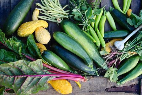 Introducing… Harvest & Gather, A Dinner Series Introducing… Harvest & Gather, A Dinner Series