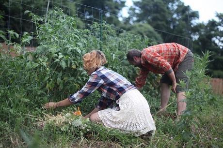 Introducing… Harvest & Gather, A Dinner Series Introducing… Harvest & Gather, A Dinner Series