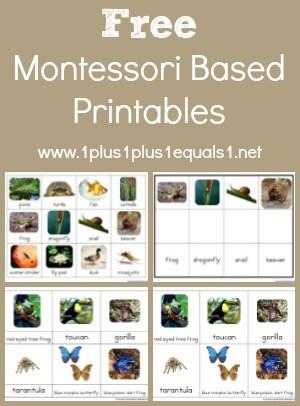 Best Montessori Toys you can Buy in India