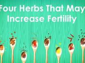 Herbs That Increase Fertility