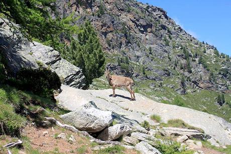 Here's the Quietest Corner of the Alps