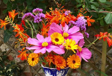 In a Vase Monday – Colour, Colour, Colour