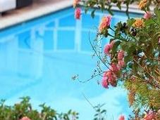 Important Issues When Considering Swimming Pool Installation