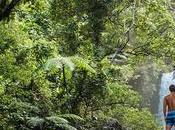 Taveuni Island Garden