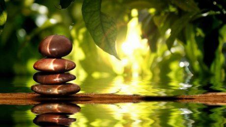 Spirituality: What role wellness?