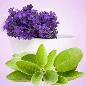 Lavender Sage Fragrance Oil