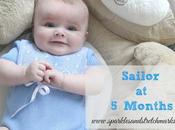 Sailor Months