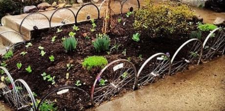 Bicycle Wheels Transformed Into Garden Edging