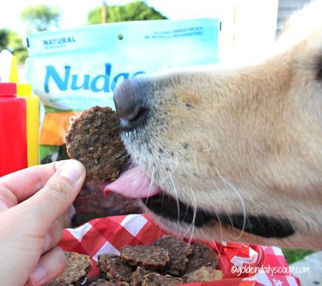 Dog smelling Nudges Sizzlers beef and cheese wholesome dog treats