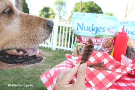 Nudges Grillers Beef Steaks dog treats review