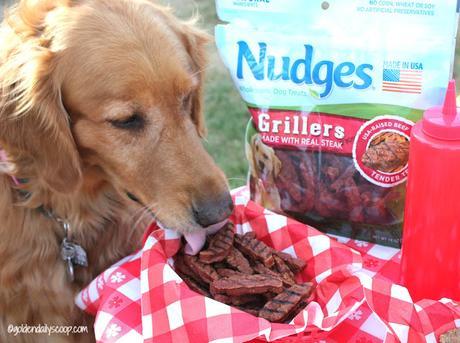 golden retriever dog enjoying a barbecue with Nudges Grillers  dog treats