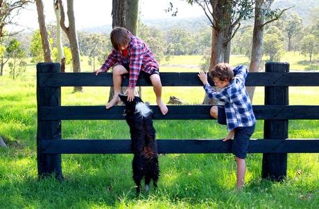 Black Fence Paint Idea