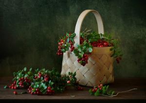 berries in a bag