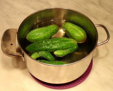 The next day, gherkins in troubled water