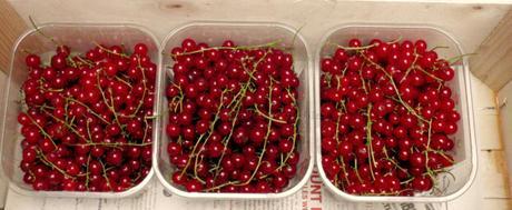 the last of the red currants!