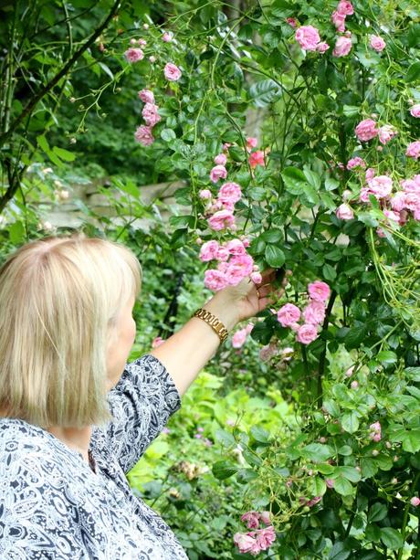 Foraging For Flowers