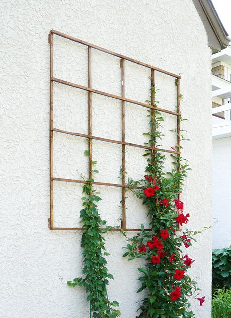 Build a Modern Grid Trellis from Garden Stakes