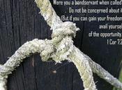 Slavery, Bible, Prophecy