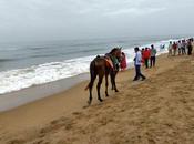 Chennai: Charismatic Coastal City South India Guest Post