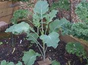 PSB. Will Spares Needed?