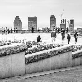 _DSC3182-2