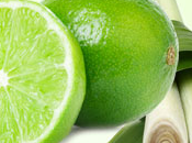 Lime Citronella Fragrance