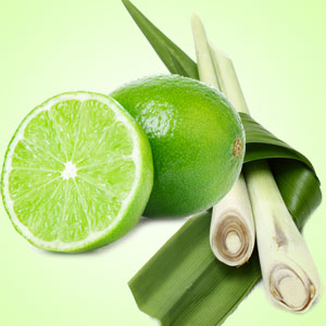Lime Citronella Fragrance Oil