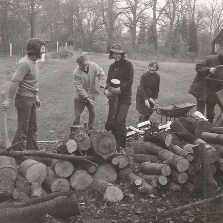 cutting wood