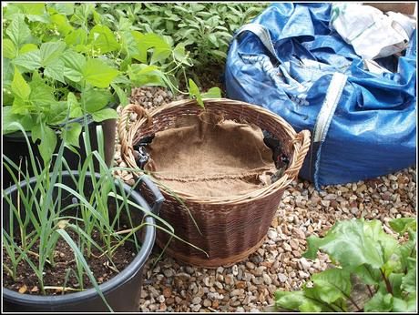 Allotment decision, and a chance acquisition