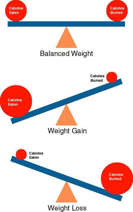 Calorie-balance-weight-loss