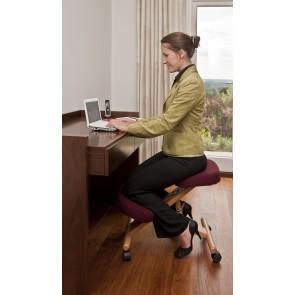 An Ergonomic Workstation for Avoiding Backache