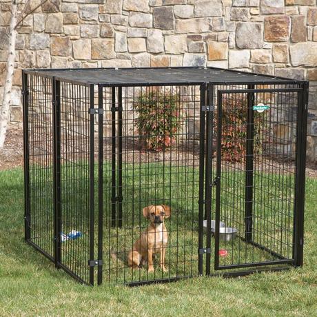 Portable Dog Fencing Ideas