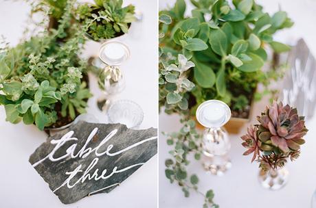 succulent-wedding-ideas