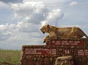 Nairobi National Park