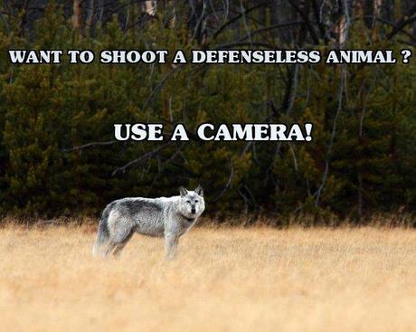 Use a Camera