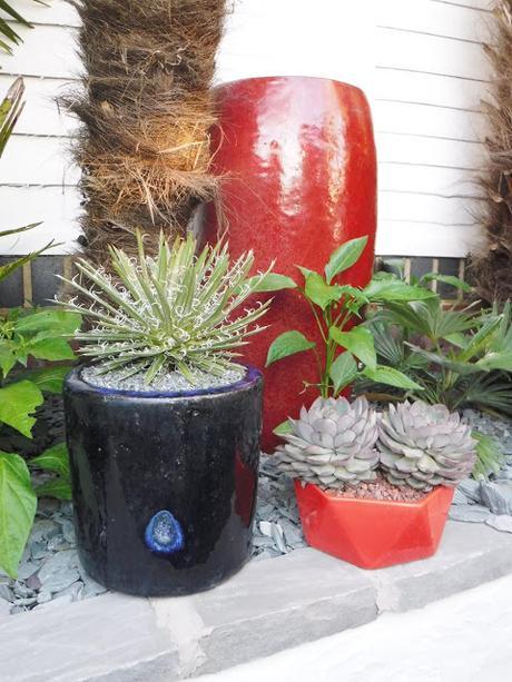 Colour on the Top Patio