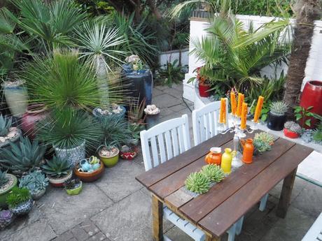 Colour on the Top Patio