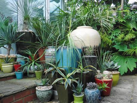 Colour on the Top Patio