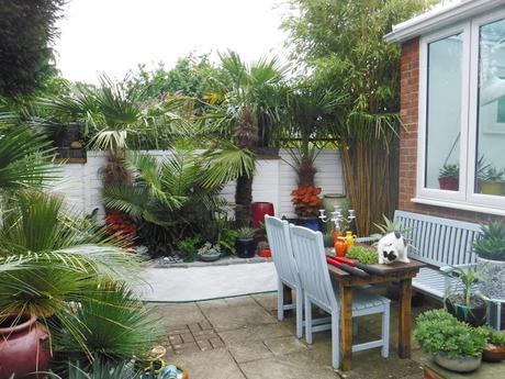 Colour on the Top Patio