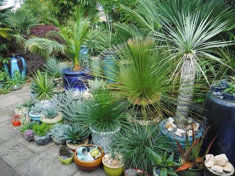 Colour on the Top Patio